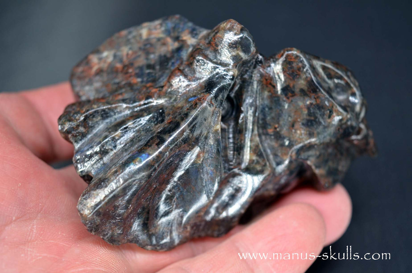Spectrolite Dragon