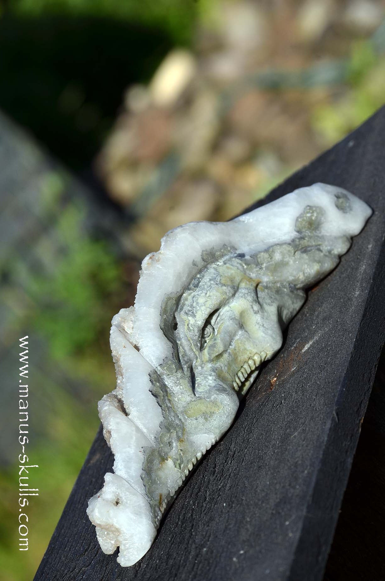 Apophyllite Dragon