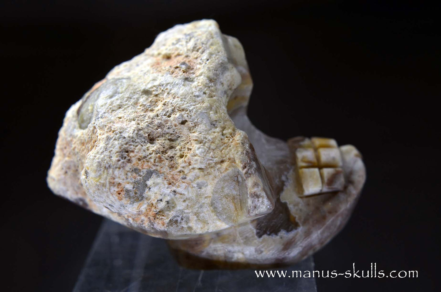 TNT-bed Thunderegg Evolian #02