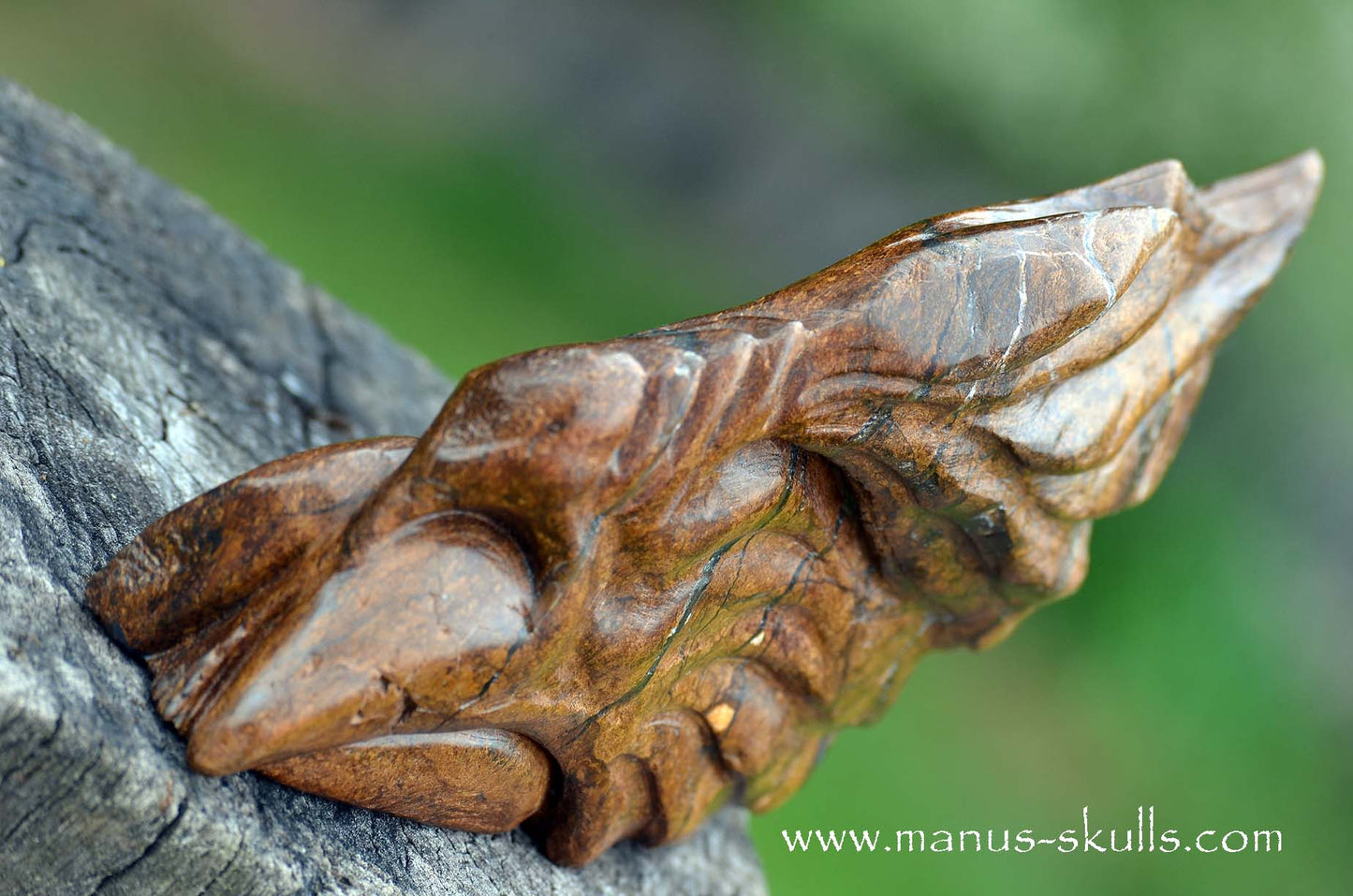 Bronzite Dragon