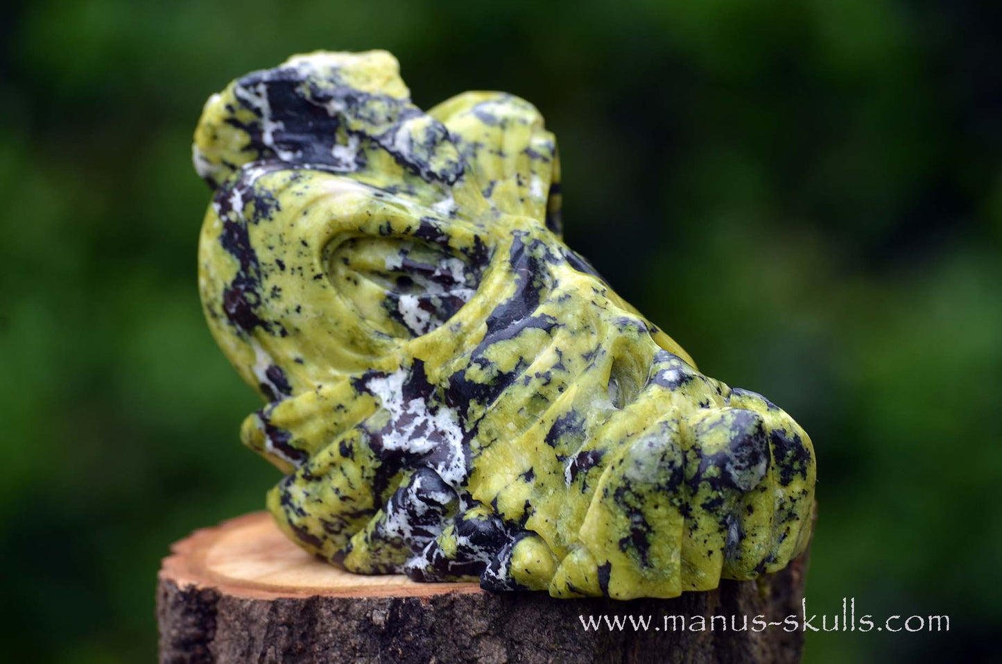 Lizardite Dragon