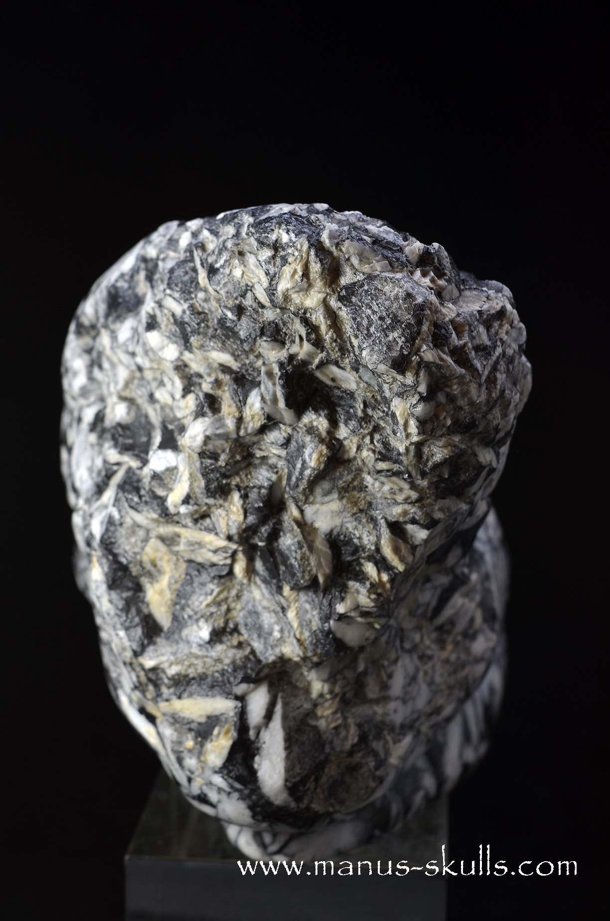 Austrian Pinolith Evolian #10
