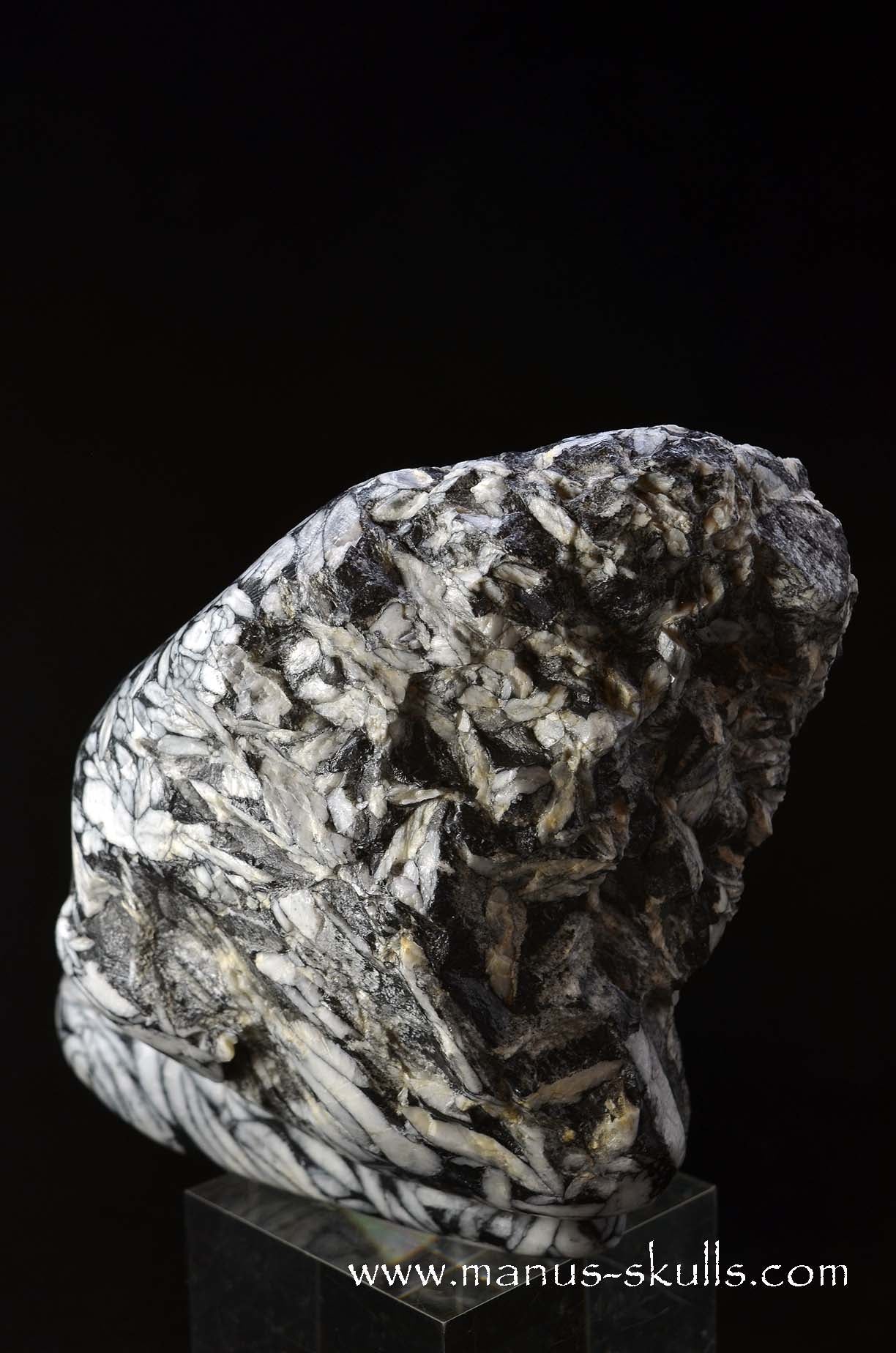 Austrian Pinolith Evolian #10