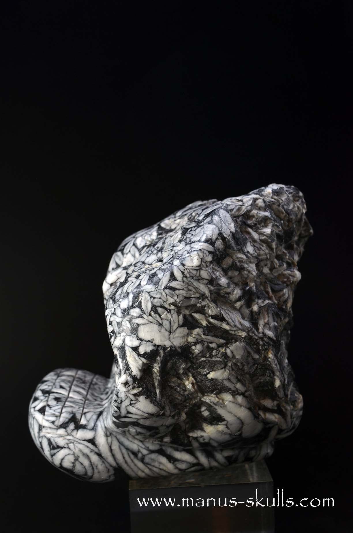 Austrian Pinolith Evolian #10
