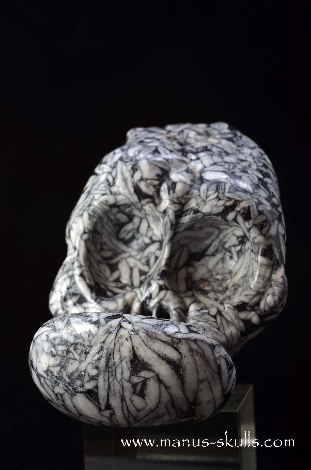 Austrian Pinolith Evolian #10