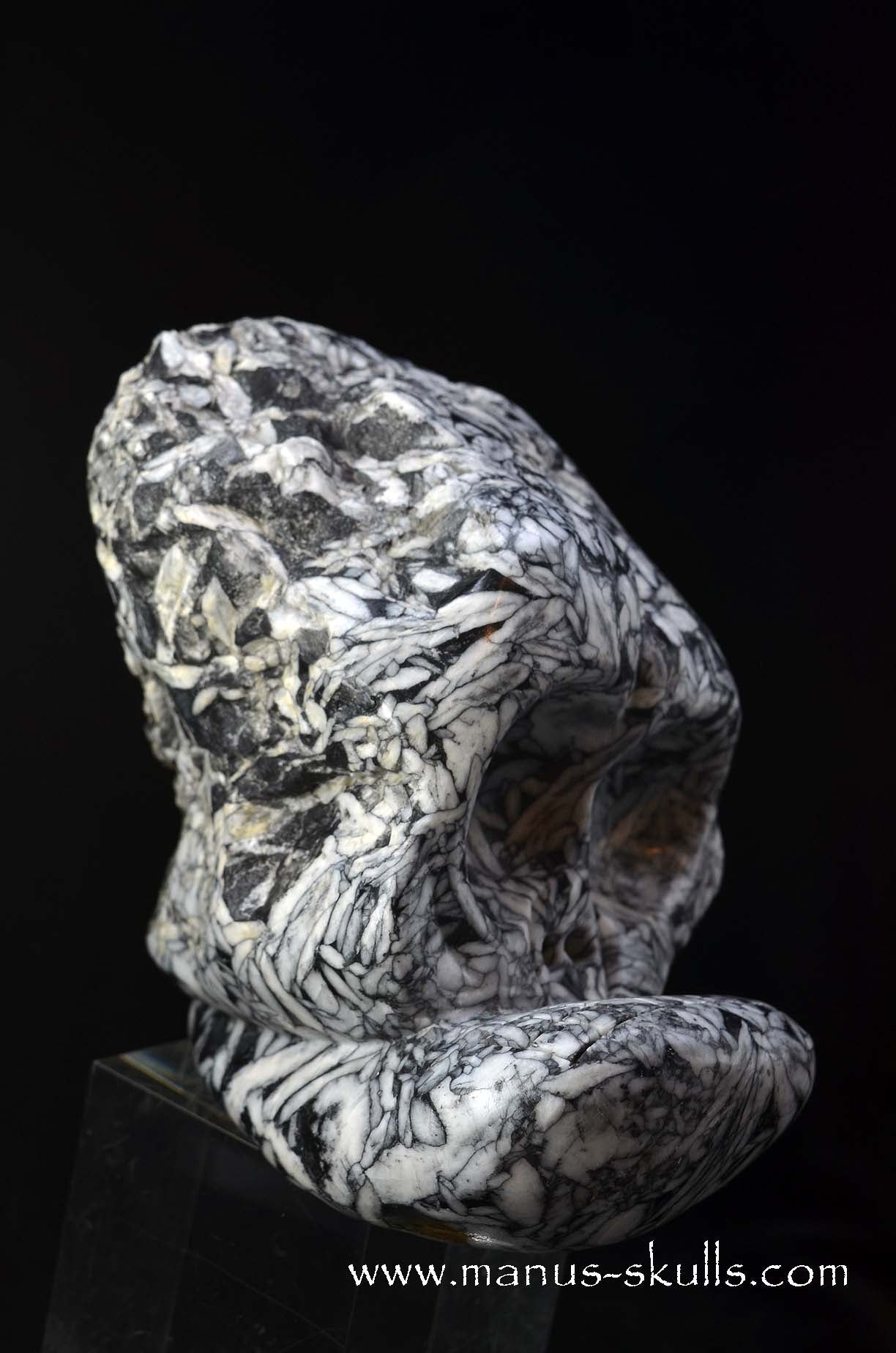 Austrian Pinolith Evolian #10