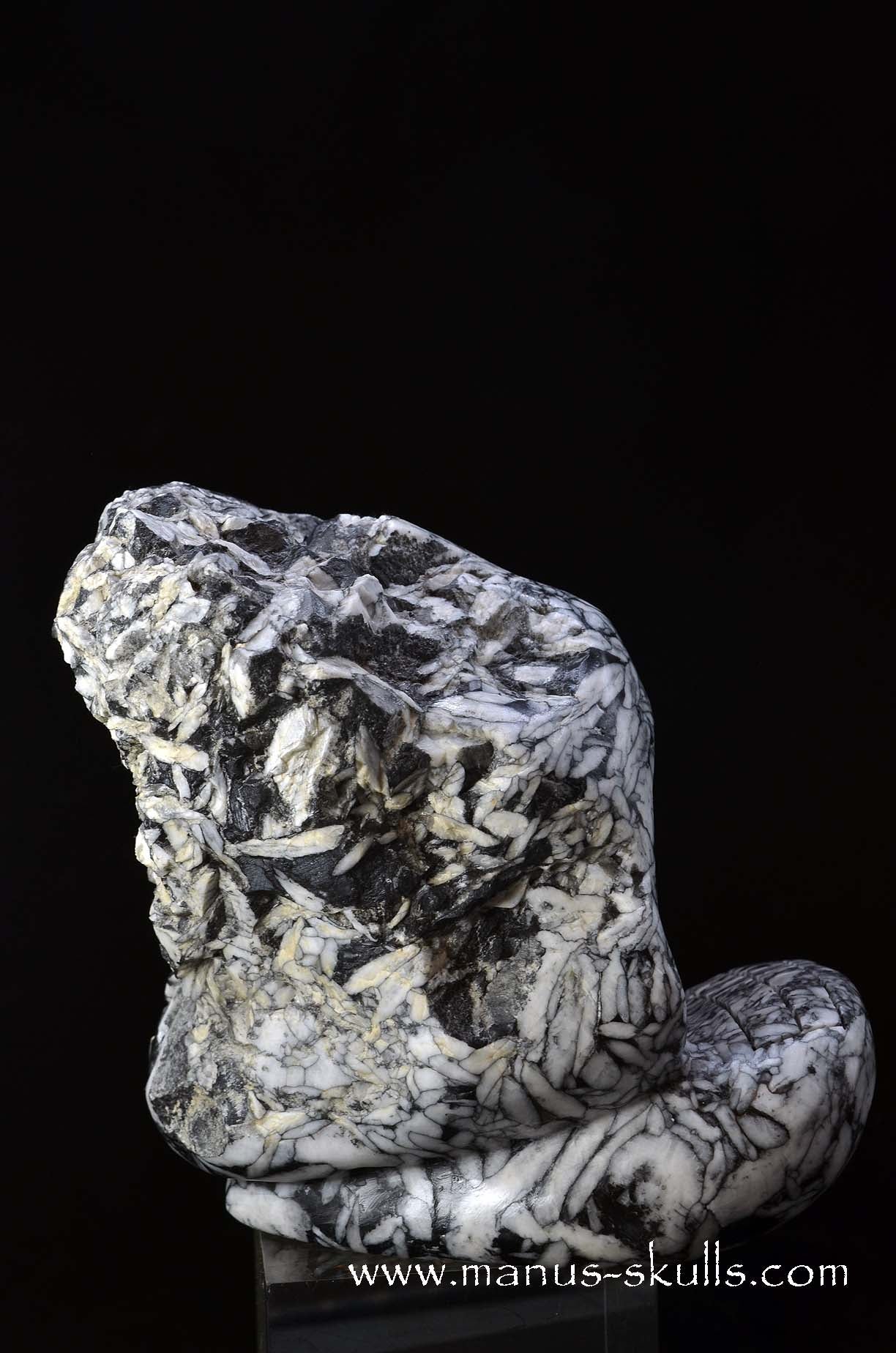 Austrian Pinolith Evolian #10