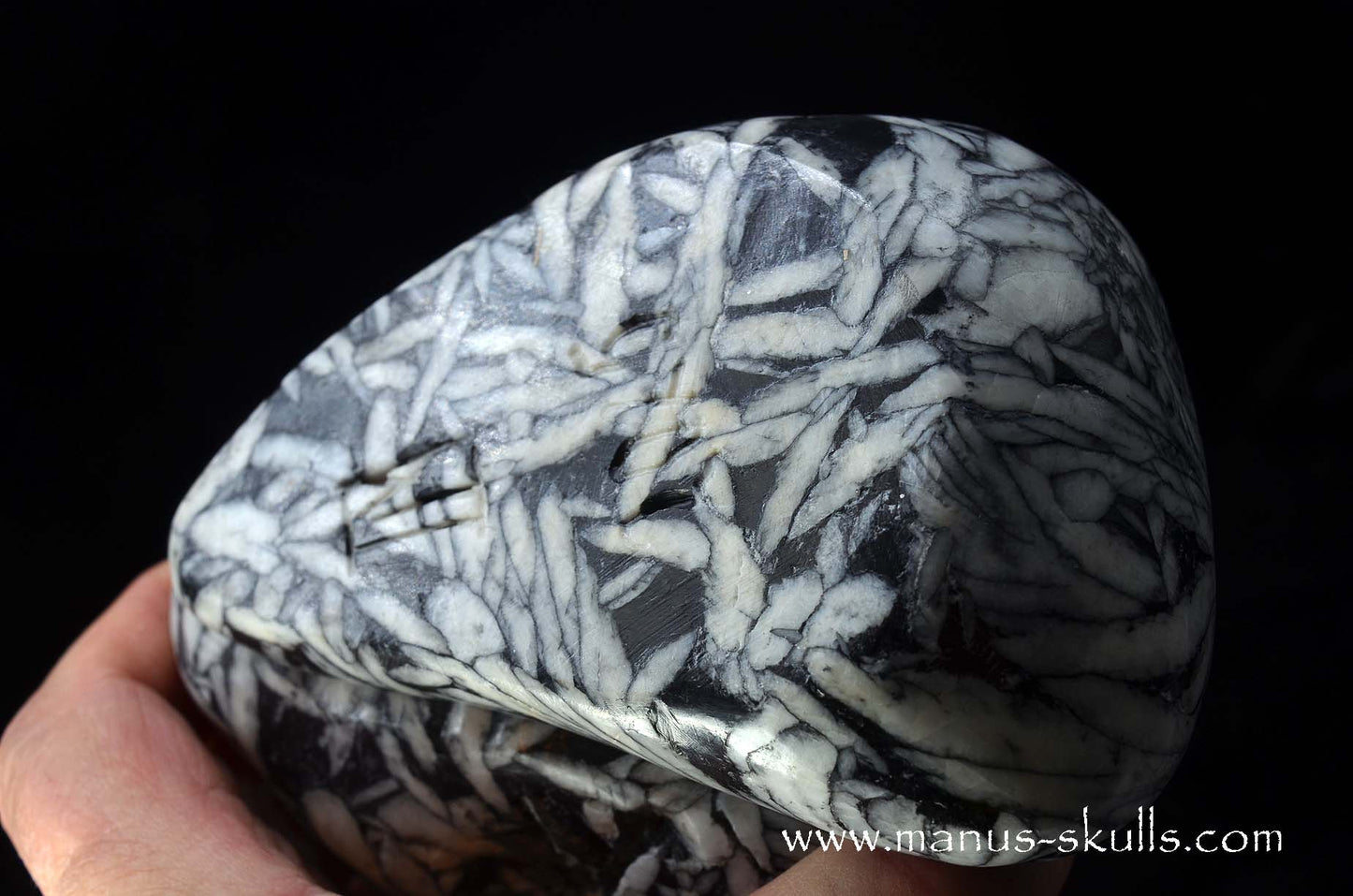 Austrian Pinolith Evolian #10