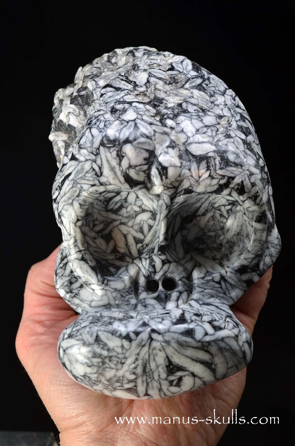 Austrian Pinolith Evolian #10