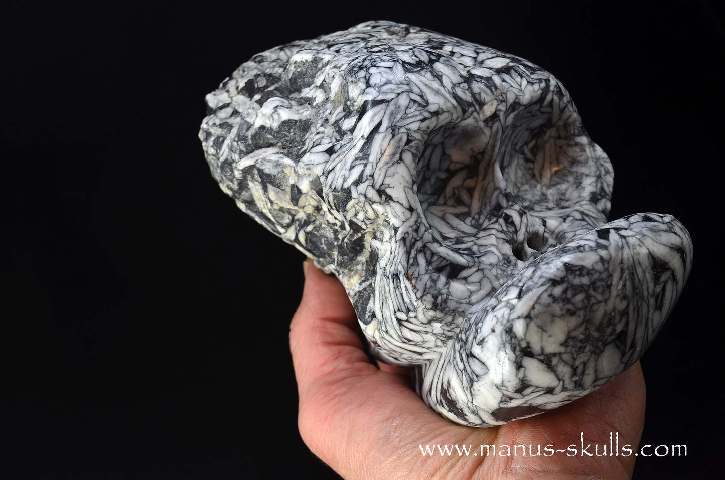 Austrian Pinolith Evolian #10