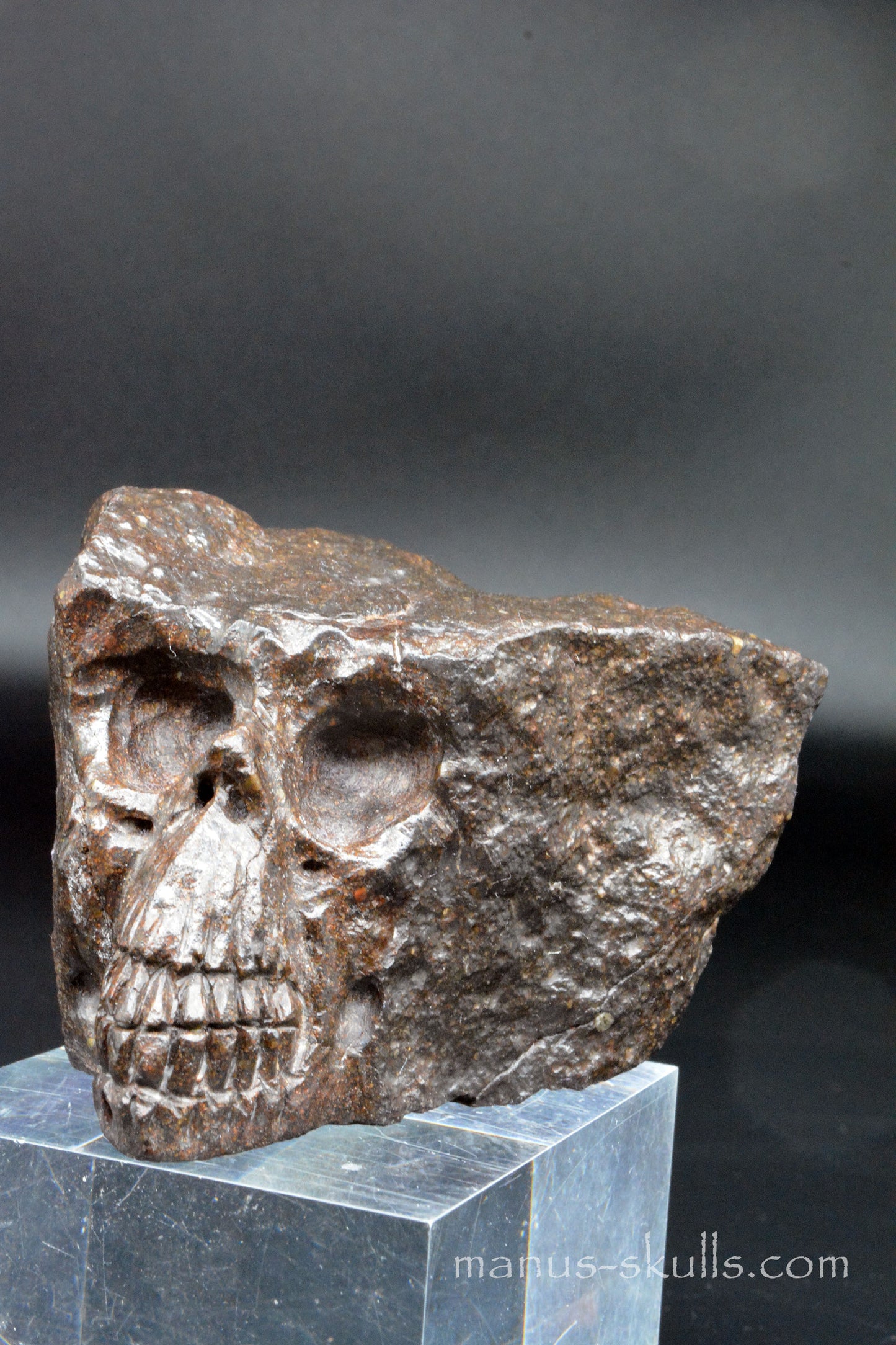 Meteorite Skull