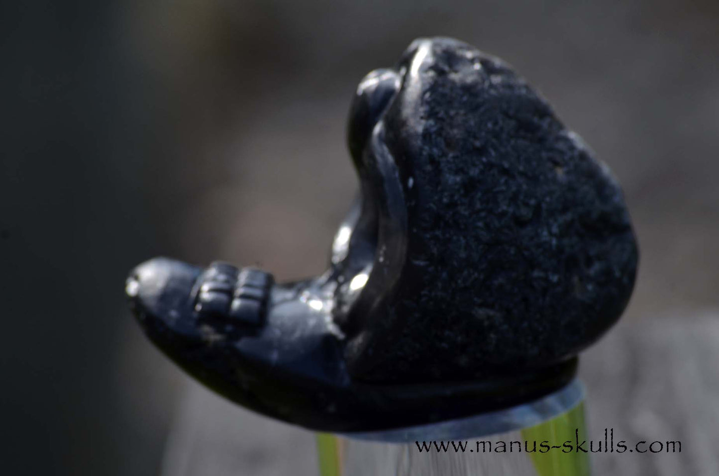 Agni Manitite Evolian #02