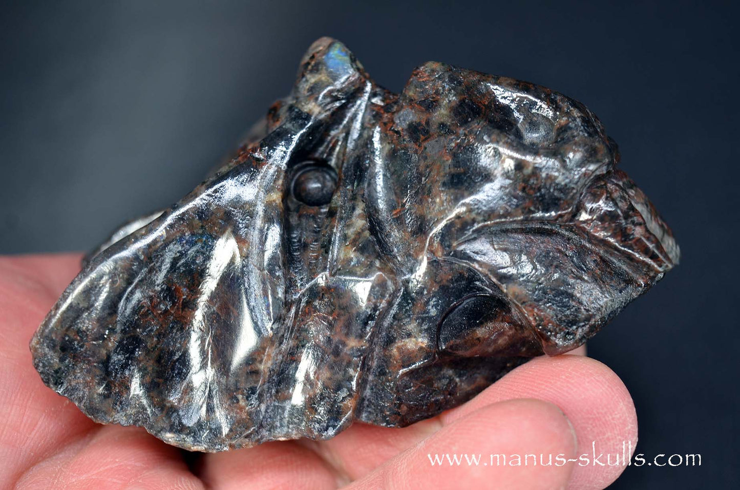 Spectrolite Dragon