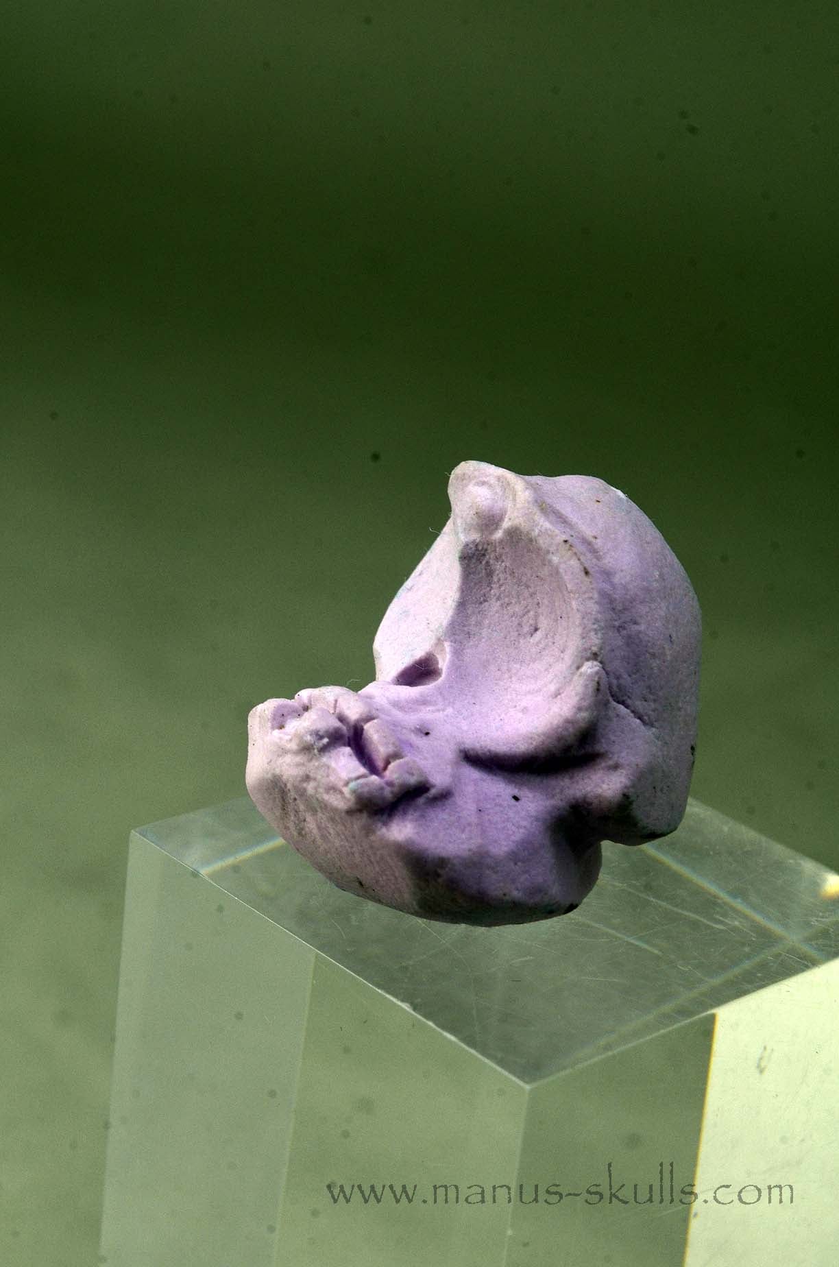 Phosphosiderite Evolian Skull #03