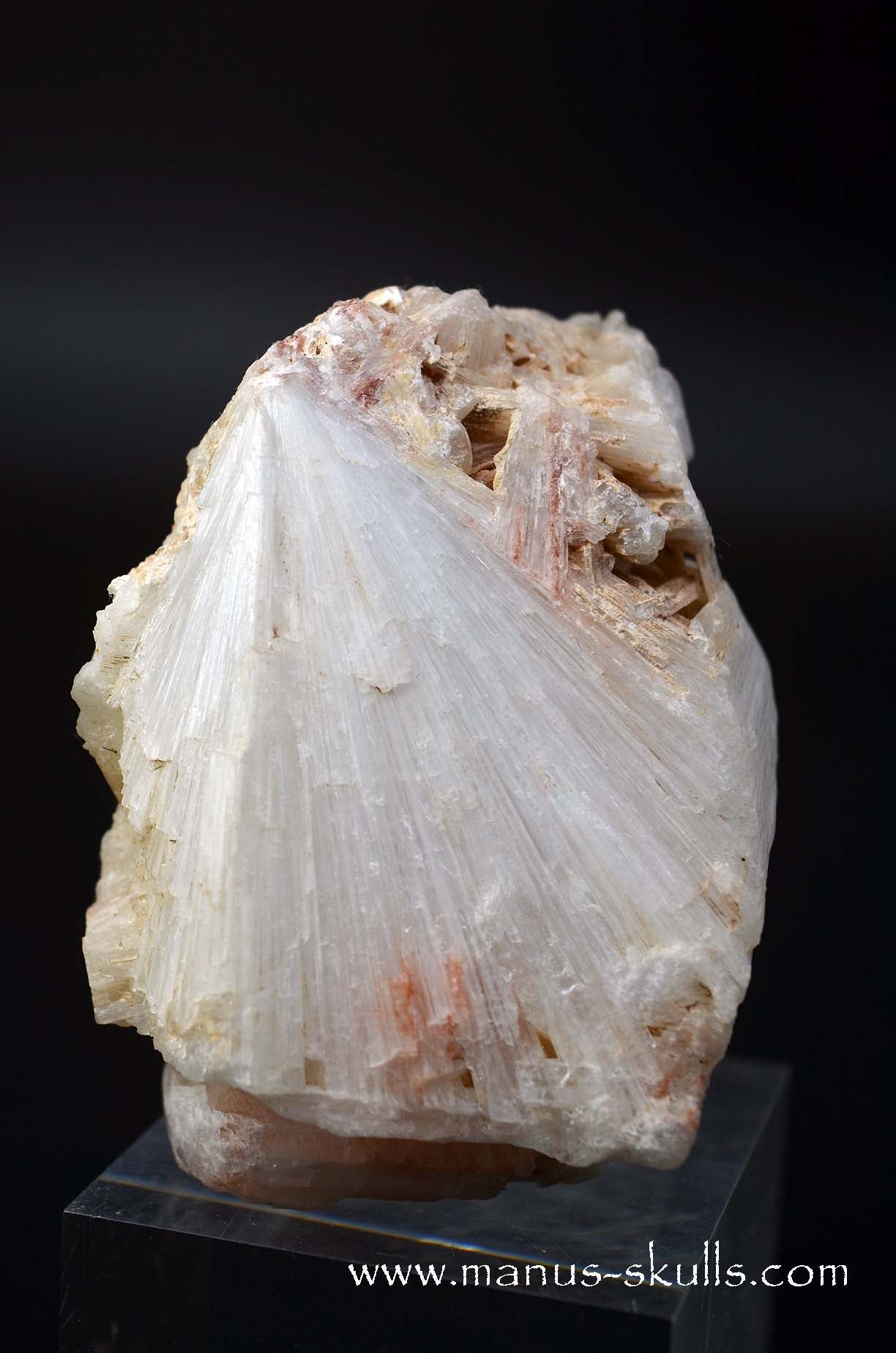 Scolecite Evolian Skull #02