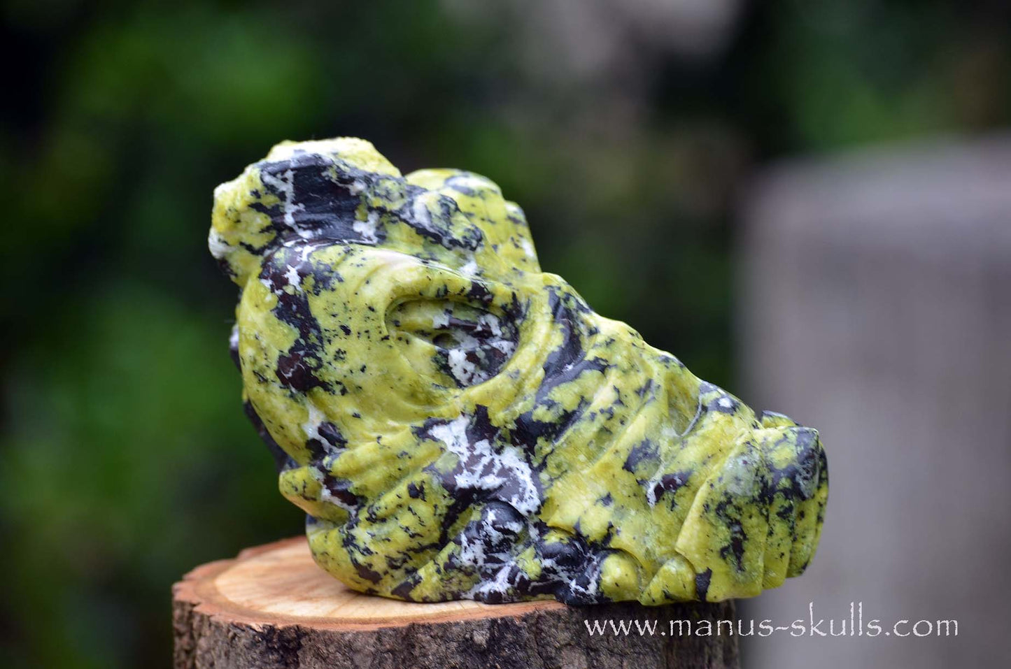 Lizardite Dragon
