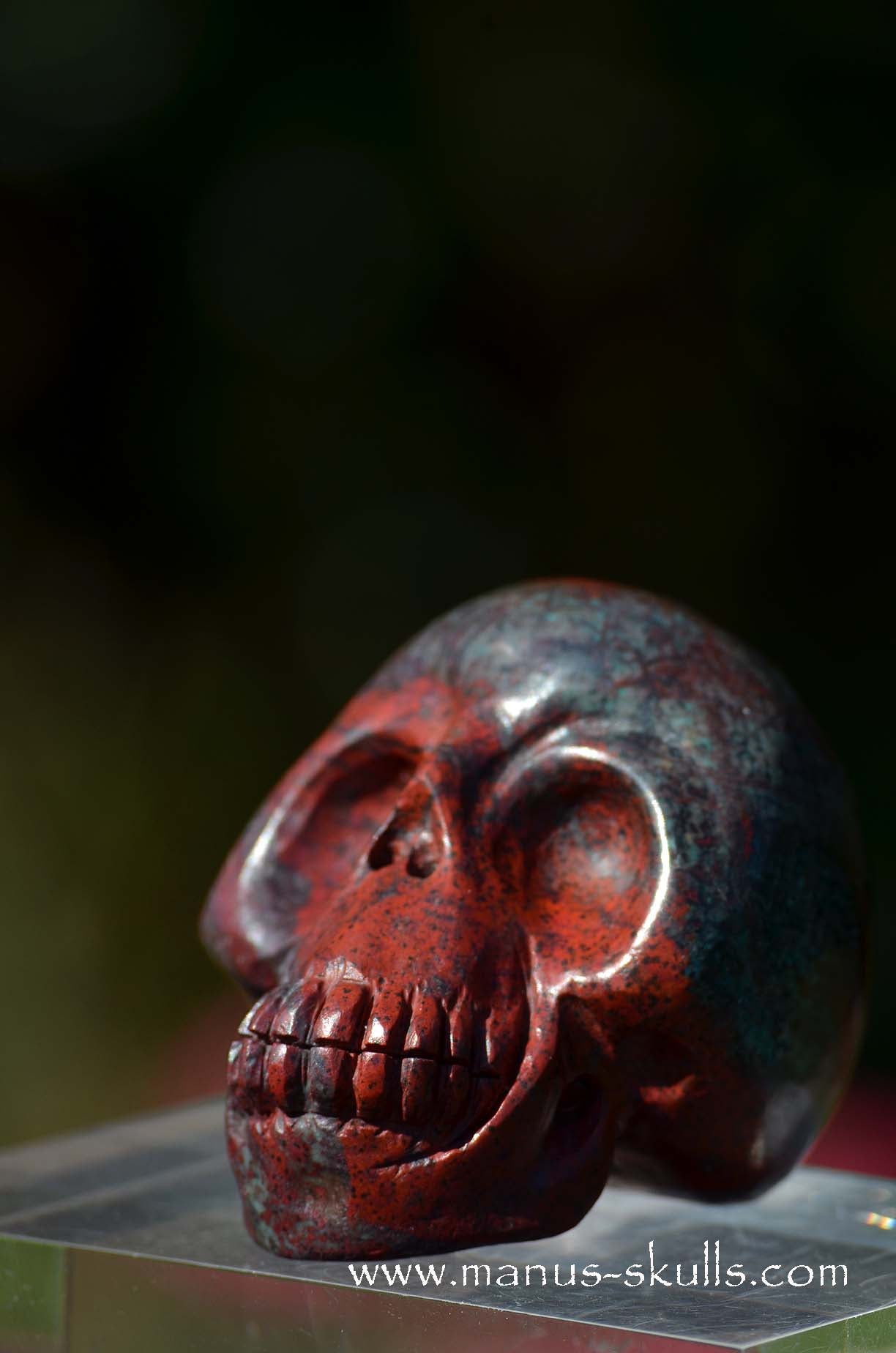 Happy Sonora Sunrise Skull
