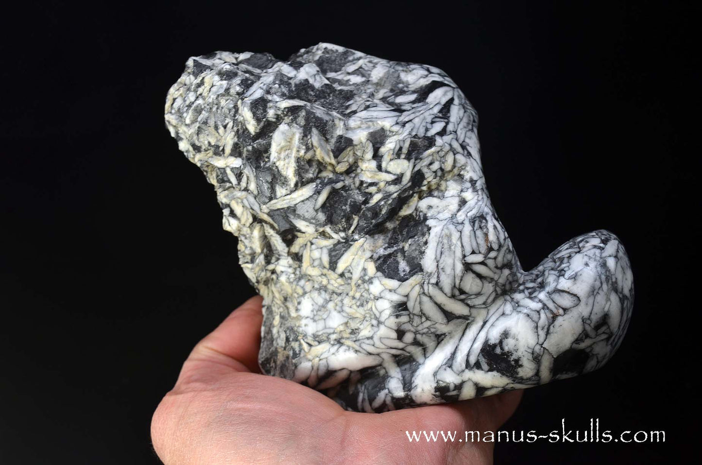 Austrian Pinolith Evolian #10