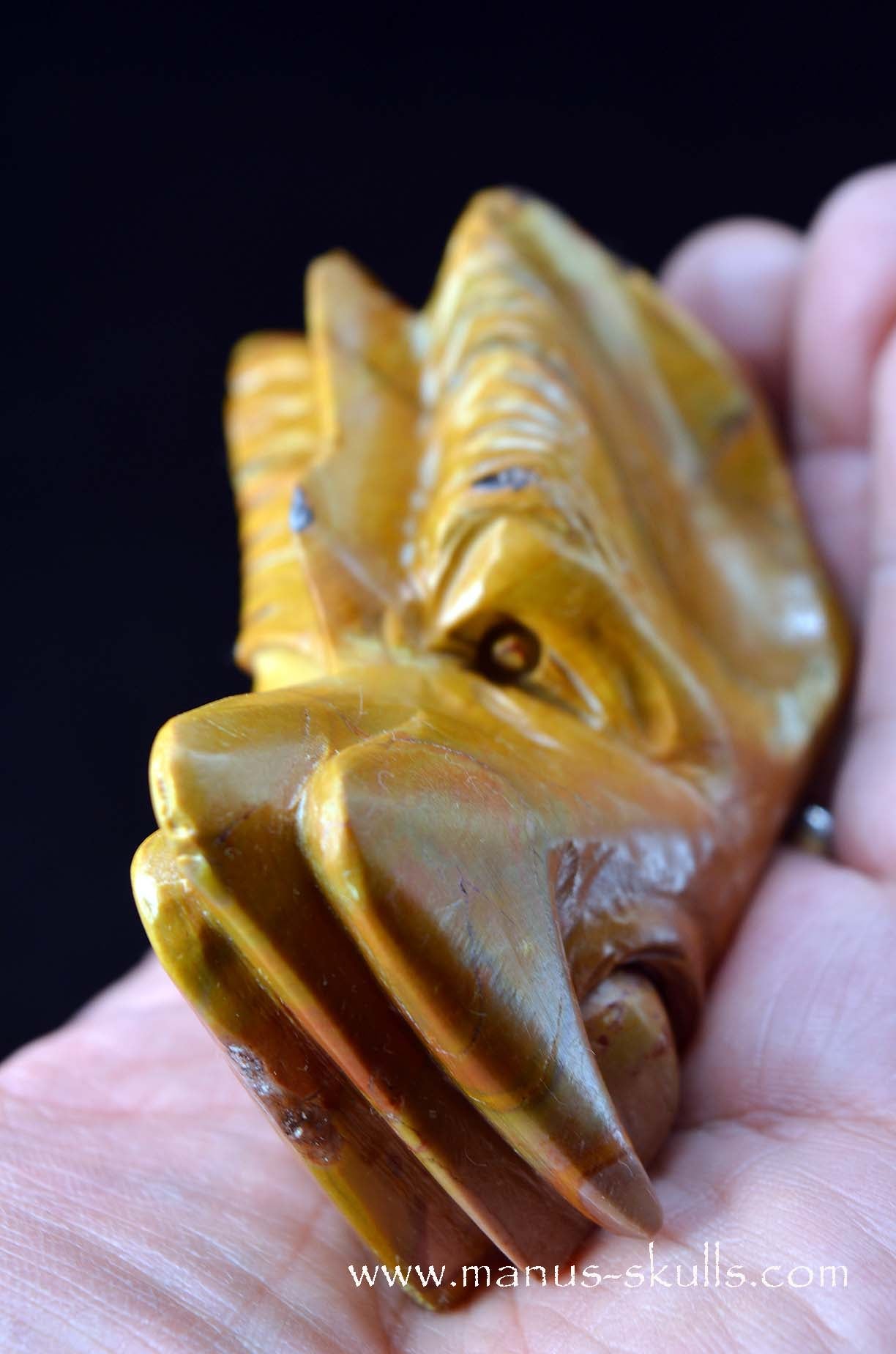 Rainbow Jasper Dragon