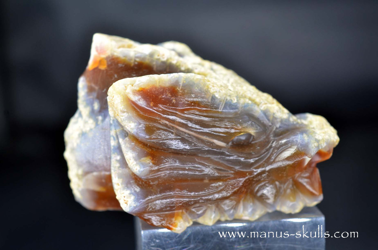 Carnelian Dragon