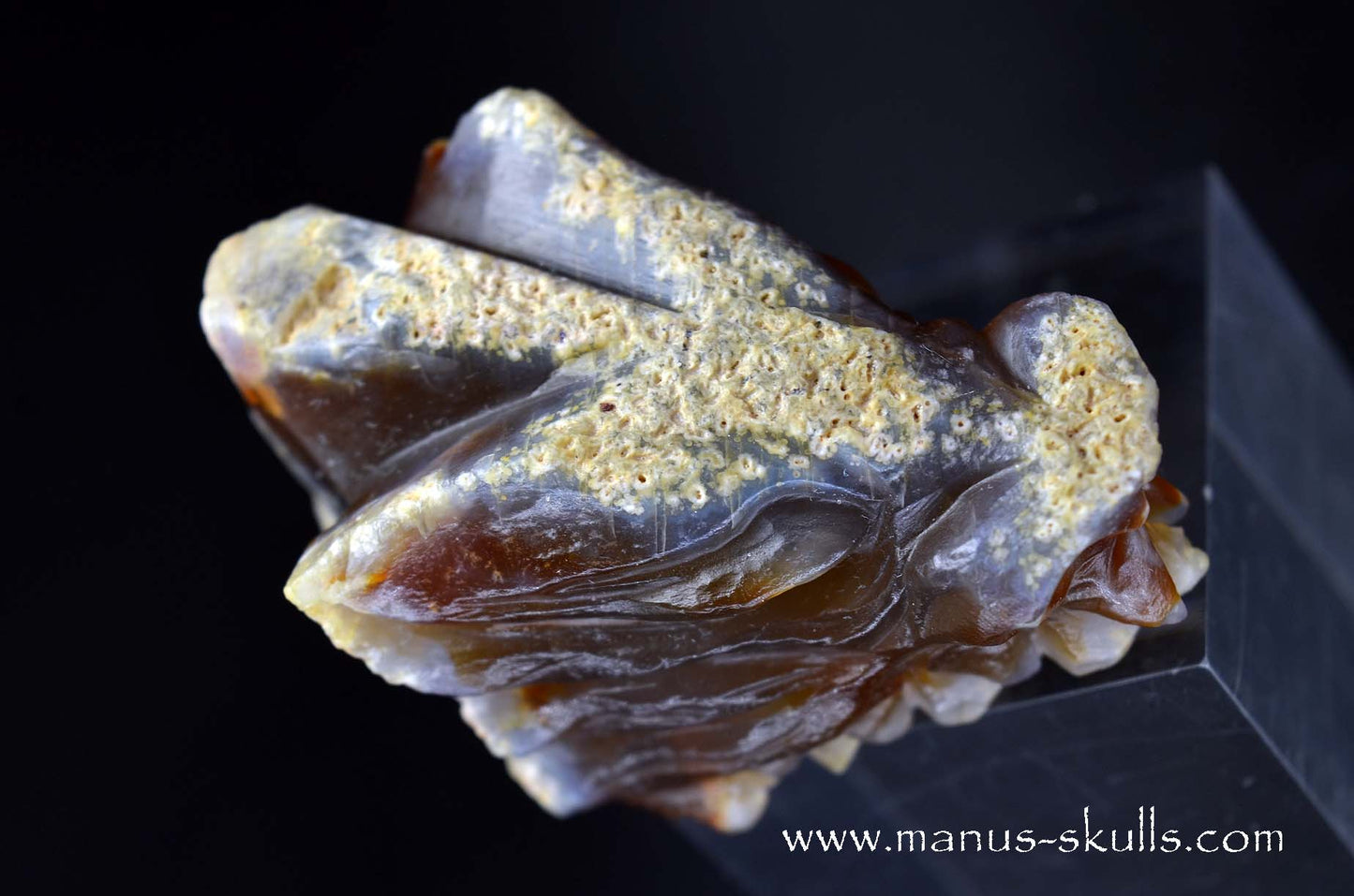 Carnelian Dragon
