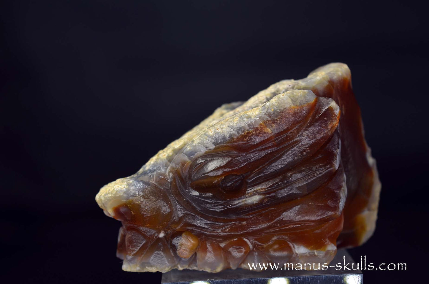 Carnelian Dragon