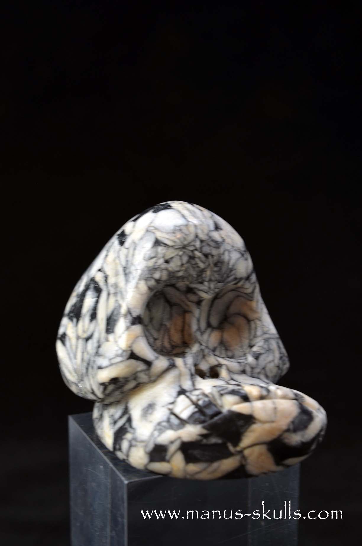 Austrian Pinolith Evolian #11