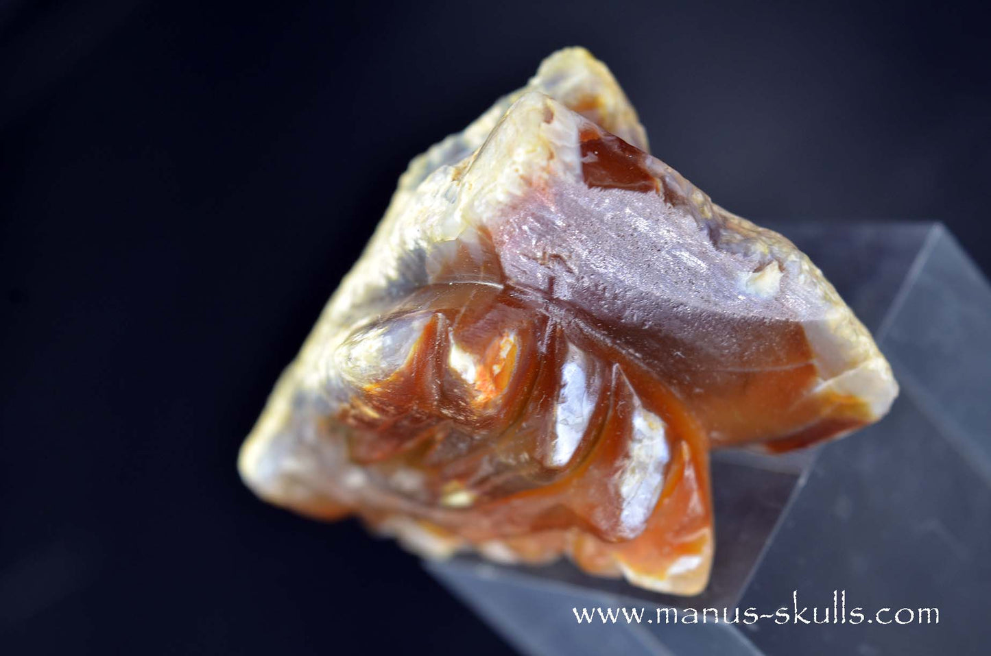 Carnelian Dragon