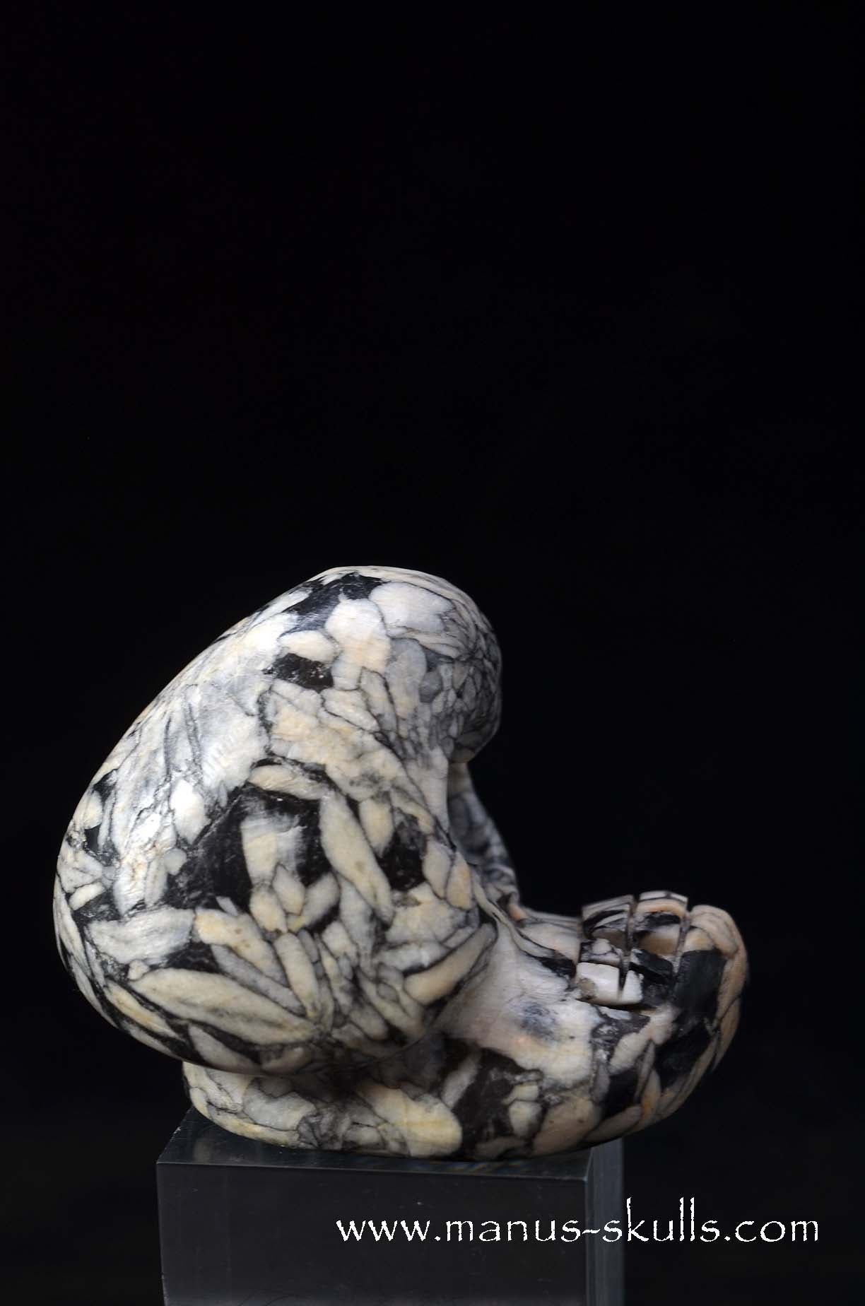 Austrian Pinolith Evolian #11