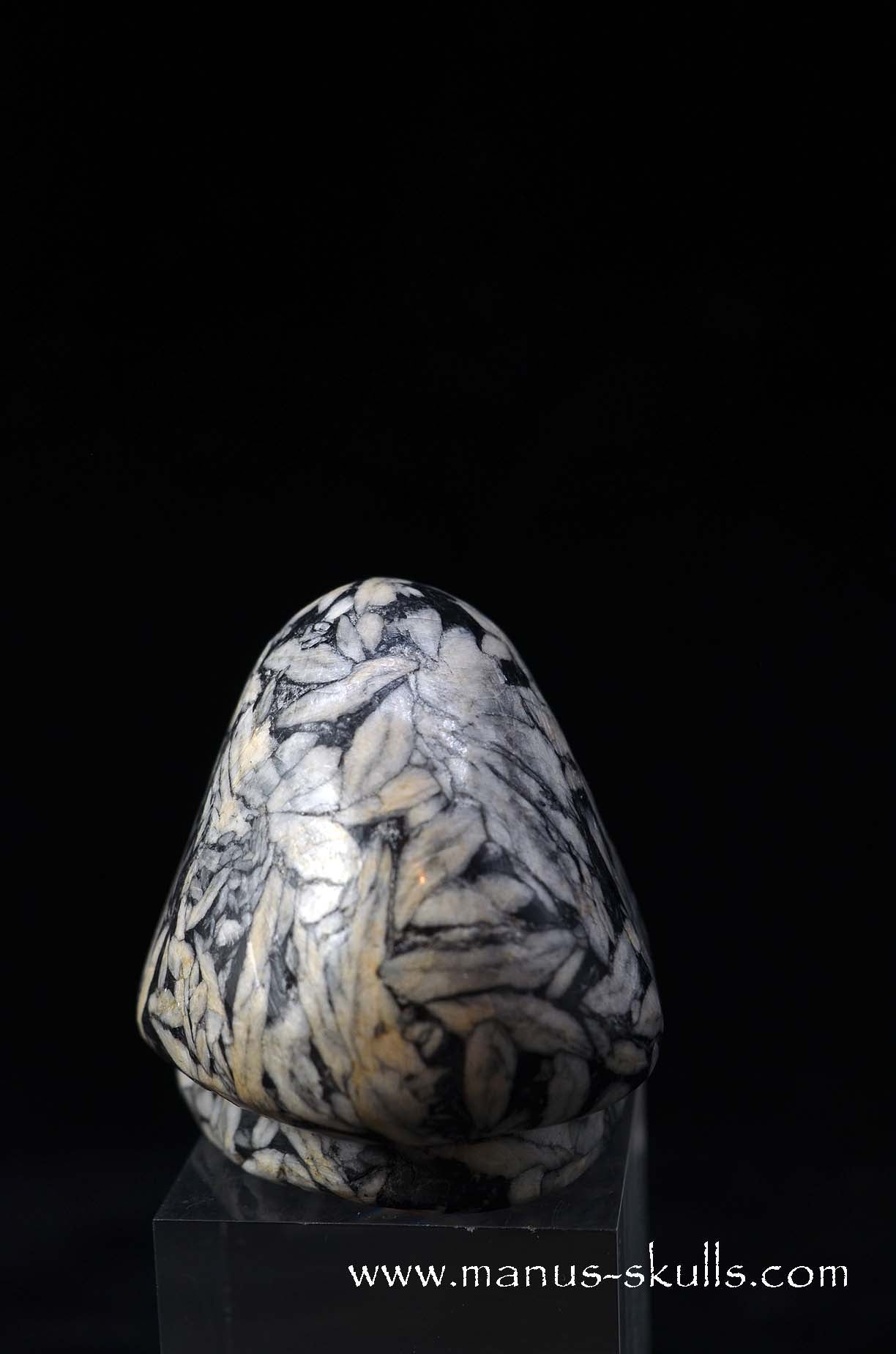 Austrian Pinolith Evolian #11