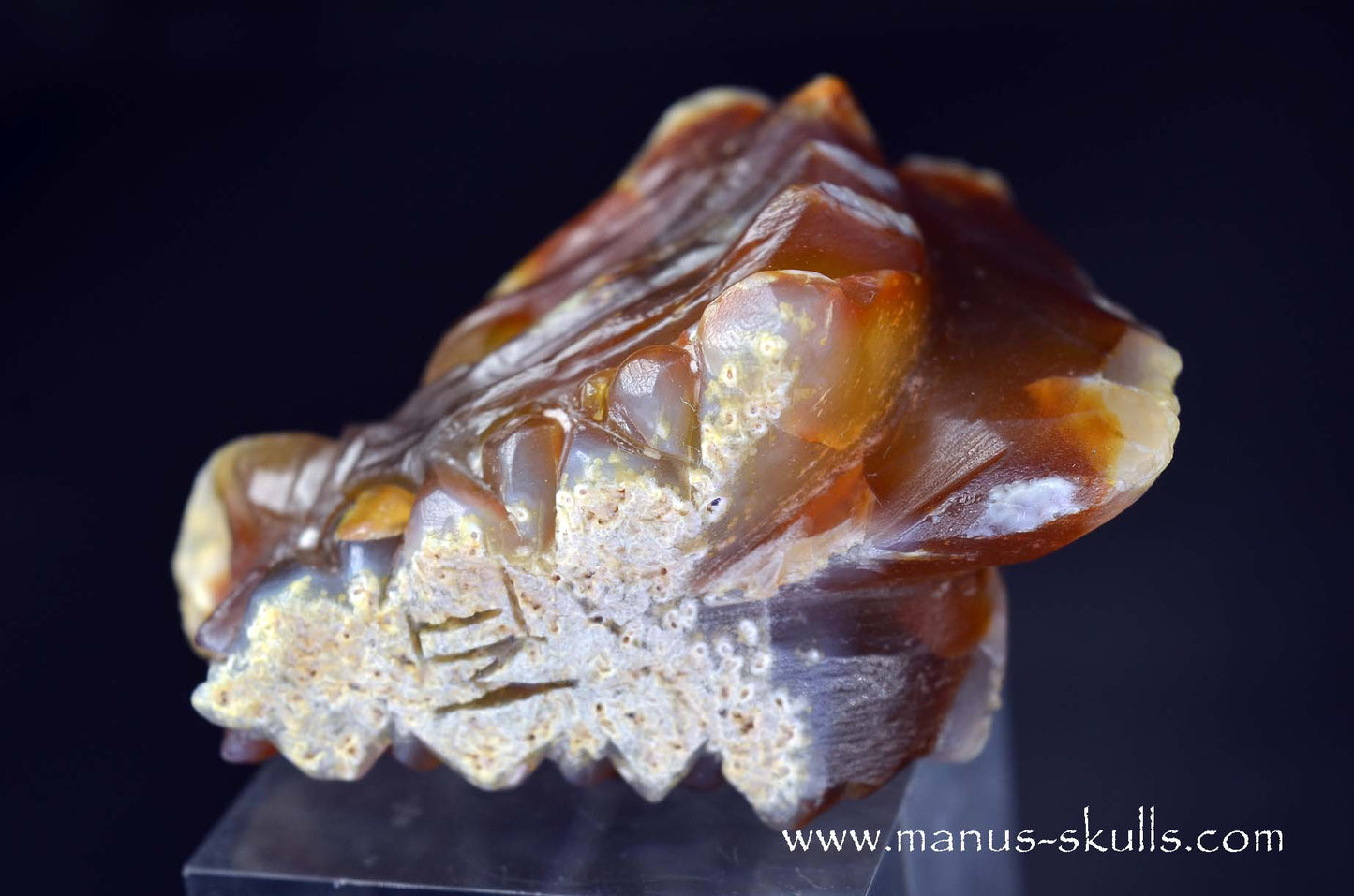 Carnelian Dragon