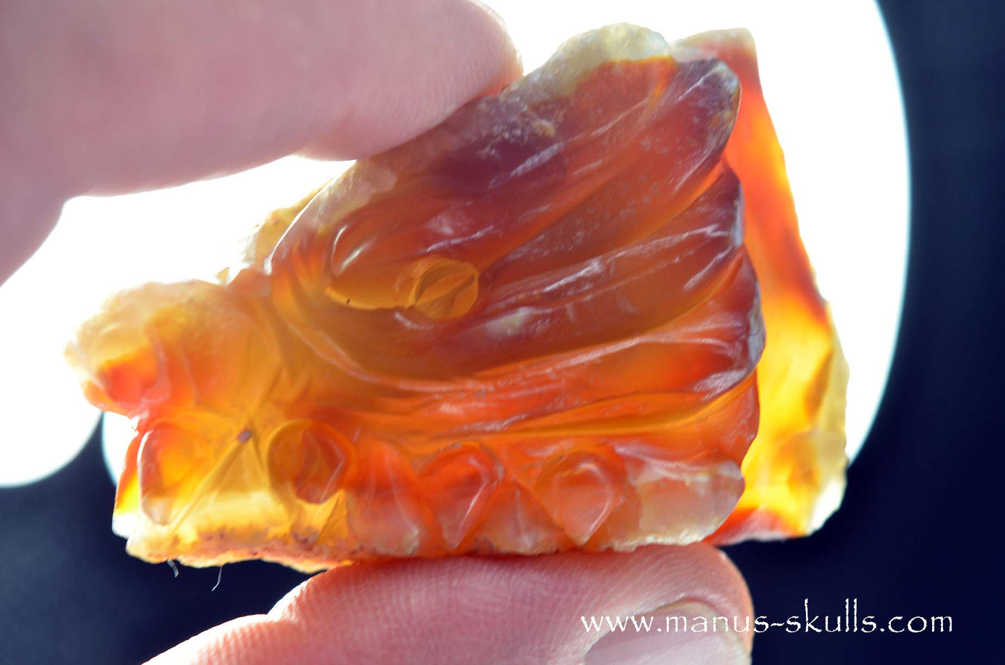 Carnelian Dragon