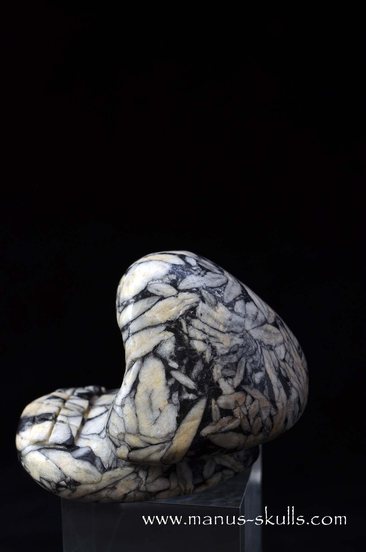 Austrian Pinolith Evolian #11