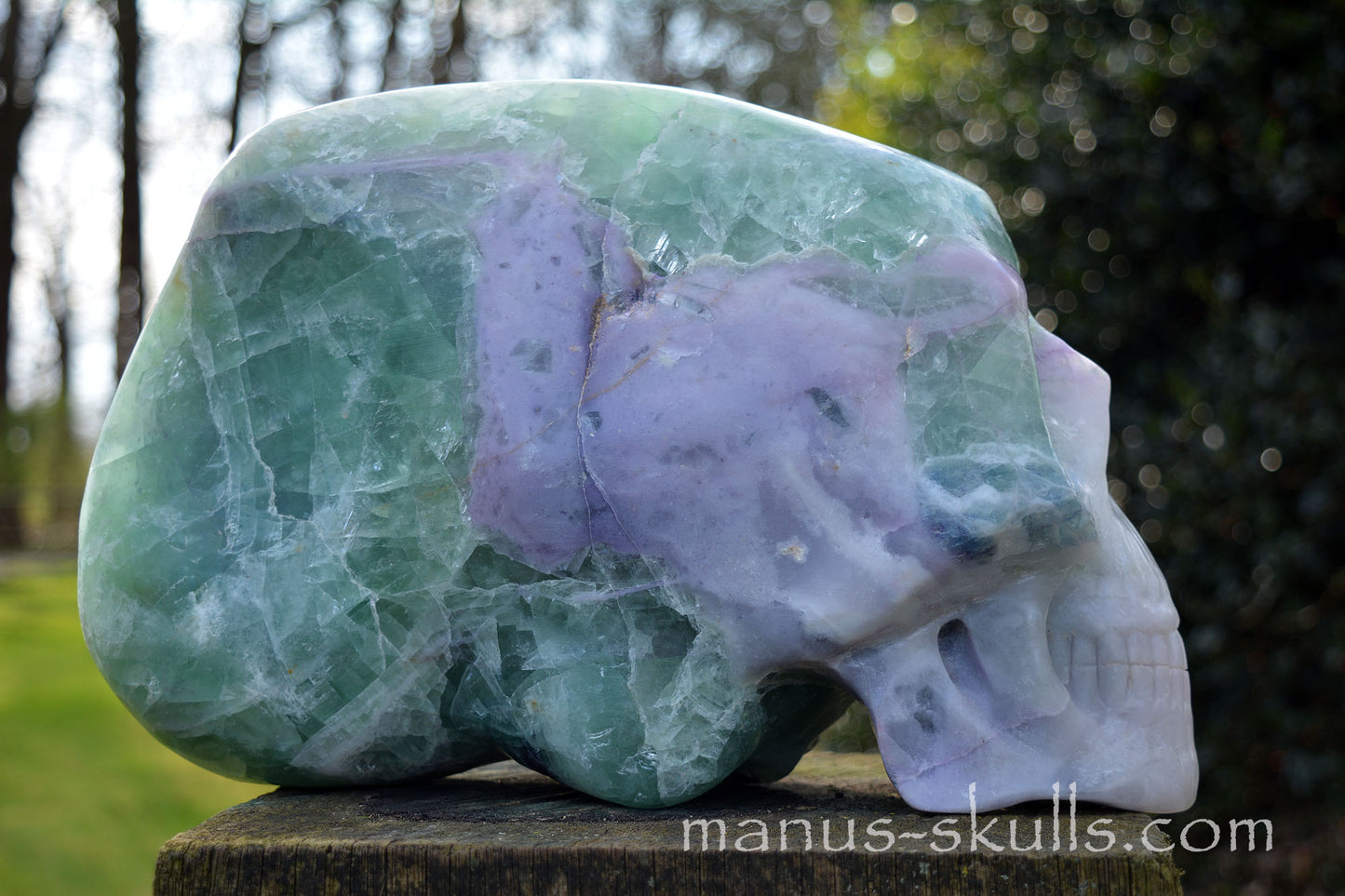 Huge Rainbow Fluorite Traveller Skull ..