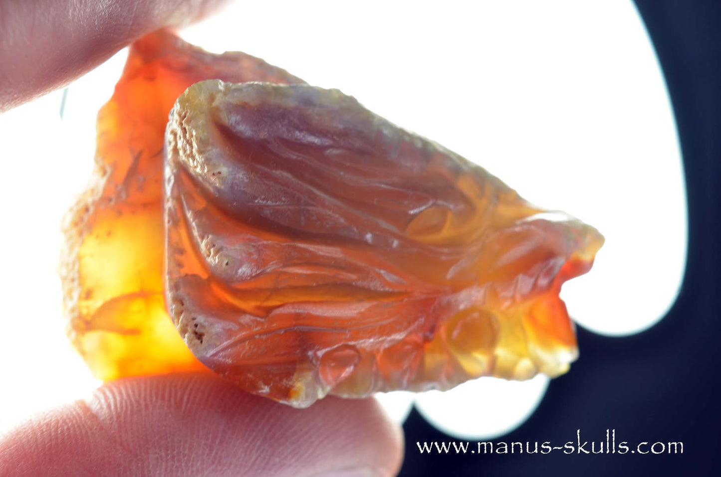 Carnelian Dragon