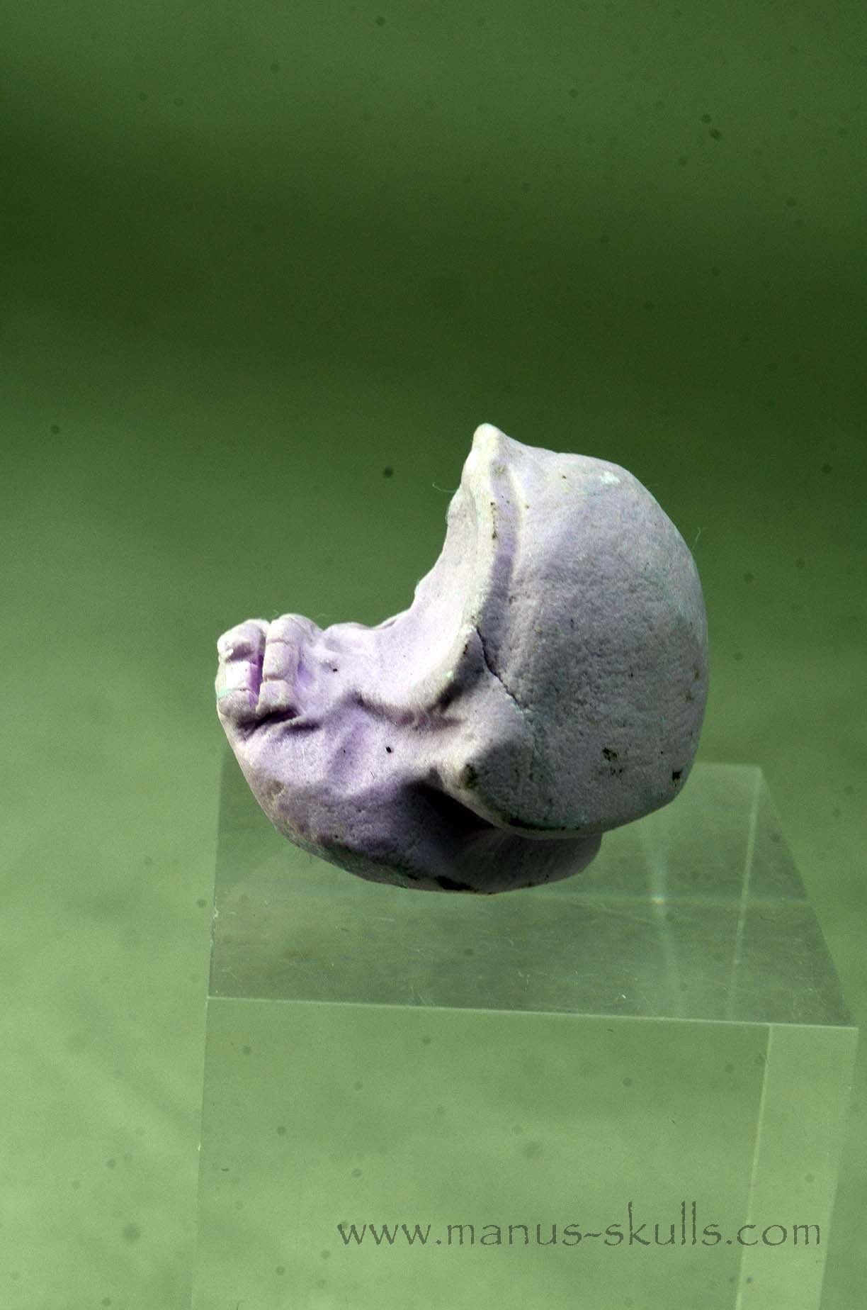 Phosphosiderite Evolian Skull #03
