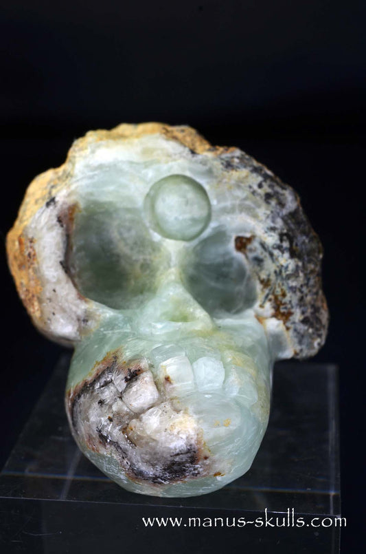 Manus skulls unique Crystal Carvings handmade skulls dragons pendants preseli bluestone tribals spiritual meaning wand Unicorn .. prehnite Evolian 2025