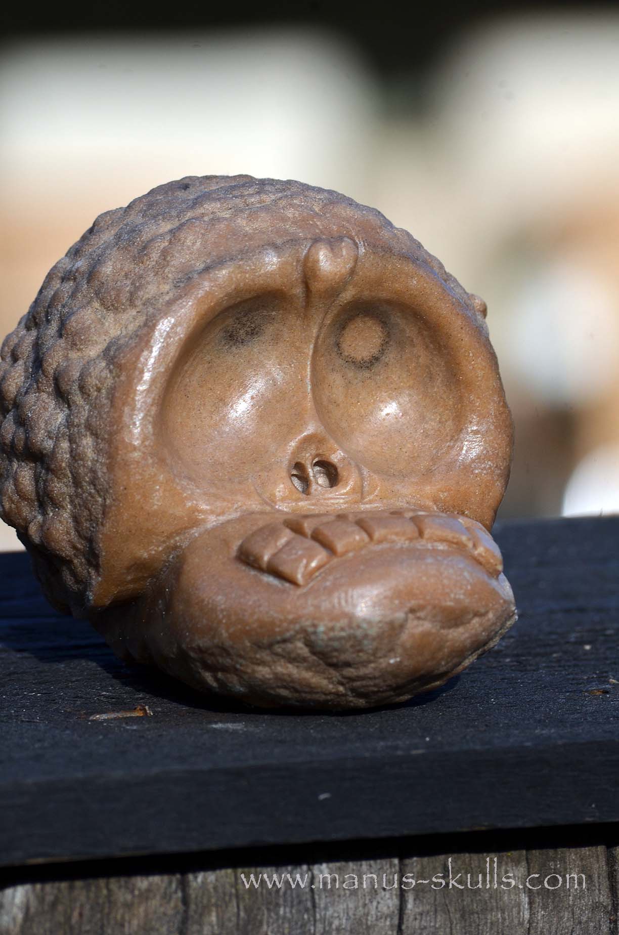 Manus skulls unique Crystal Carvings handmade skulls dragons pendants preseli bluestone tribals spiritual meaning wand Unicorn .. Evolian Oncolite 2025 Stromatolite