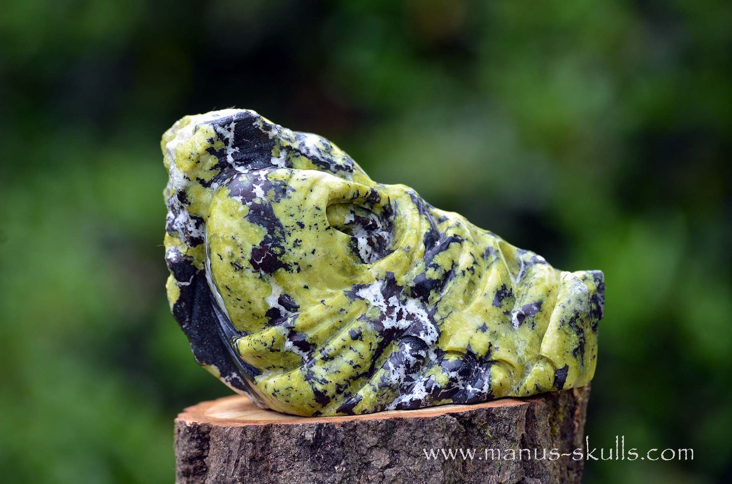Lizardite Dragon