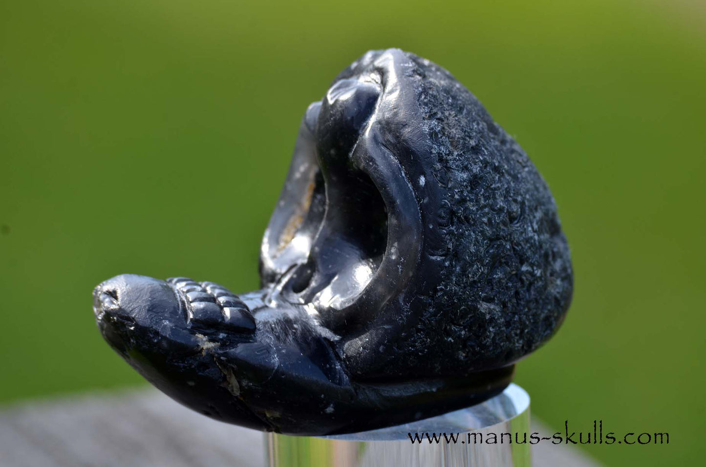 Agni Manitite Evolian #02