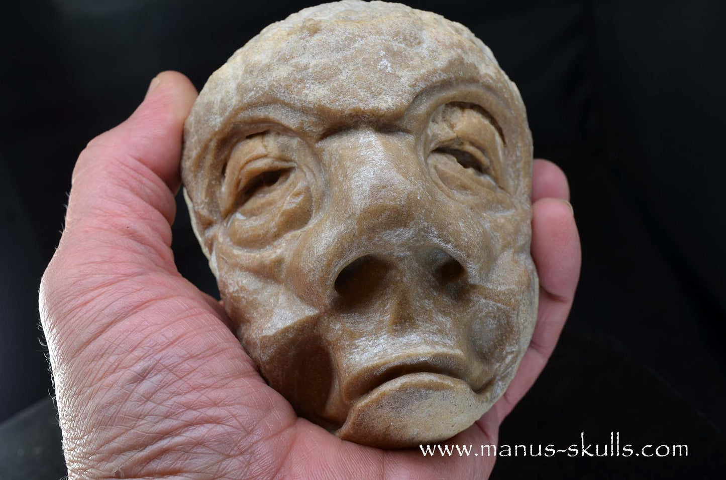 Stromatolite ~ Oncolite Character Skull