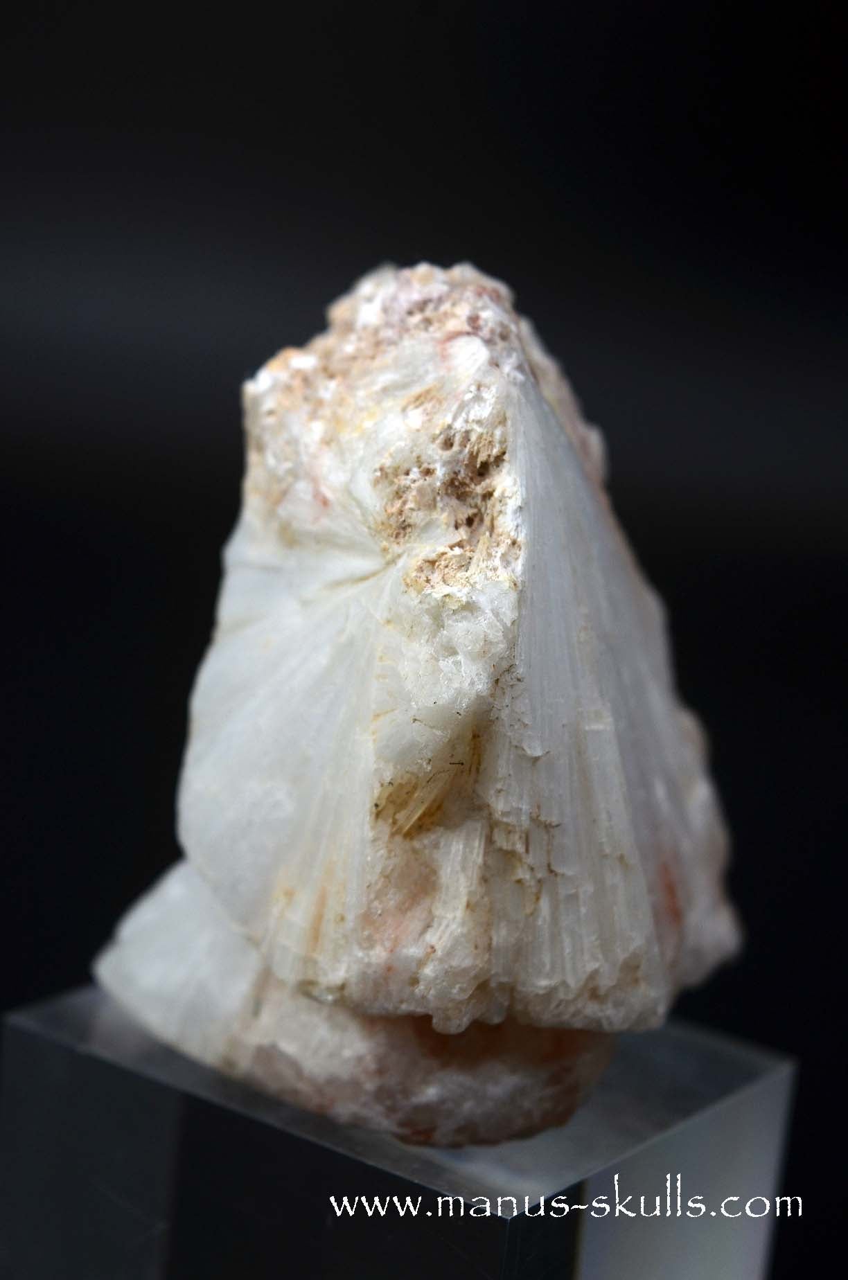 Scolecite Evolian Skull #02