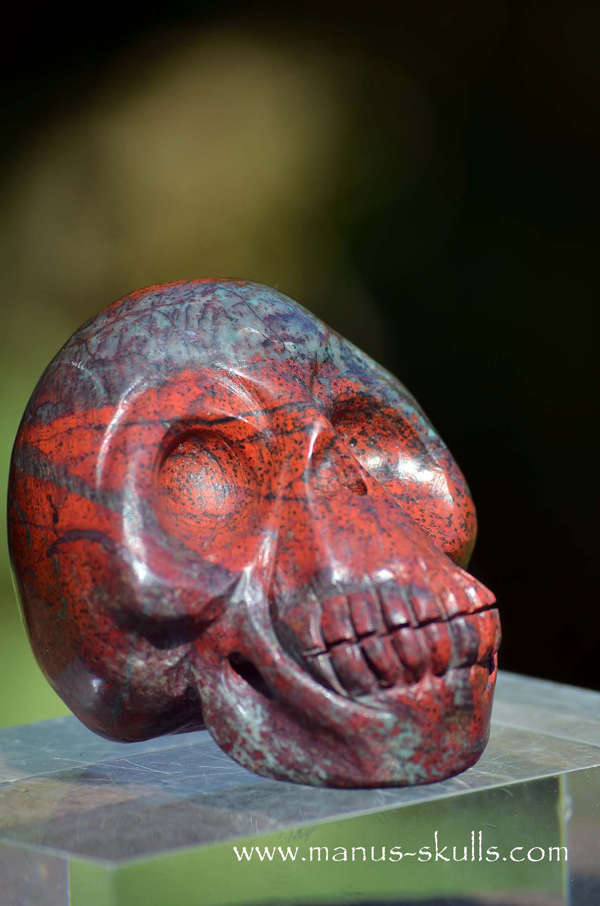 Happy Sonora Sunrise Skull