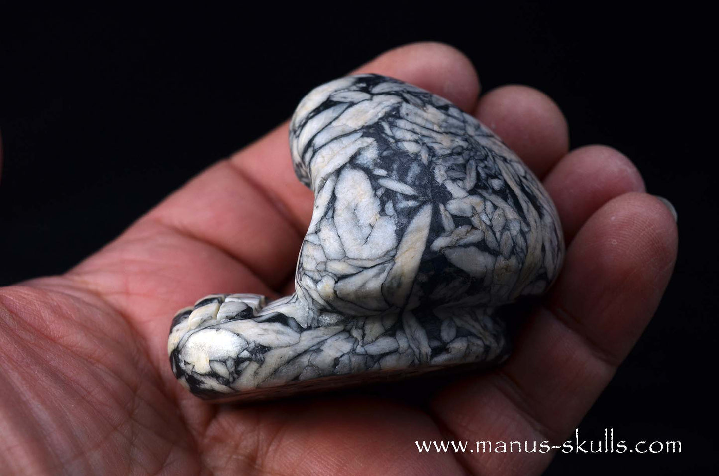 Austrian Pinolith Evolian #11