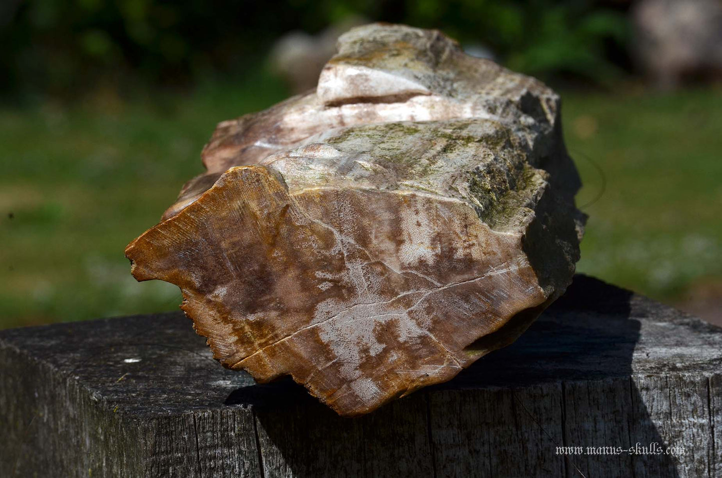 Large Petrified Wood Tribal Statue #063