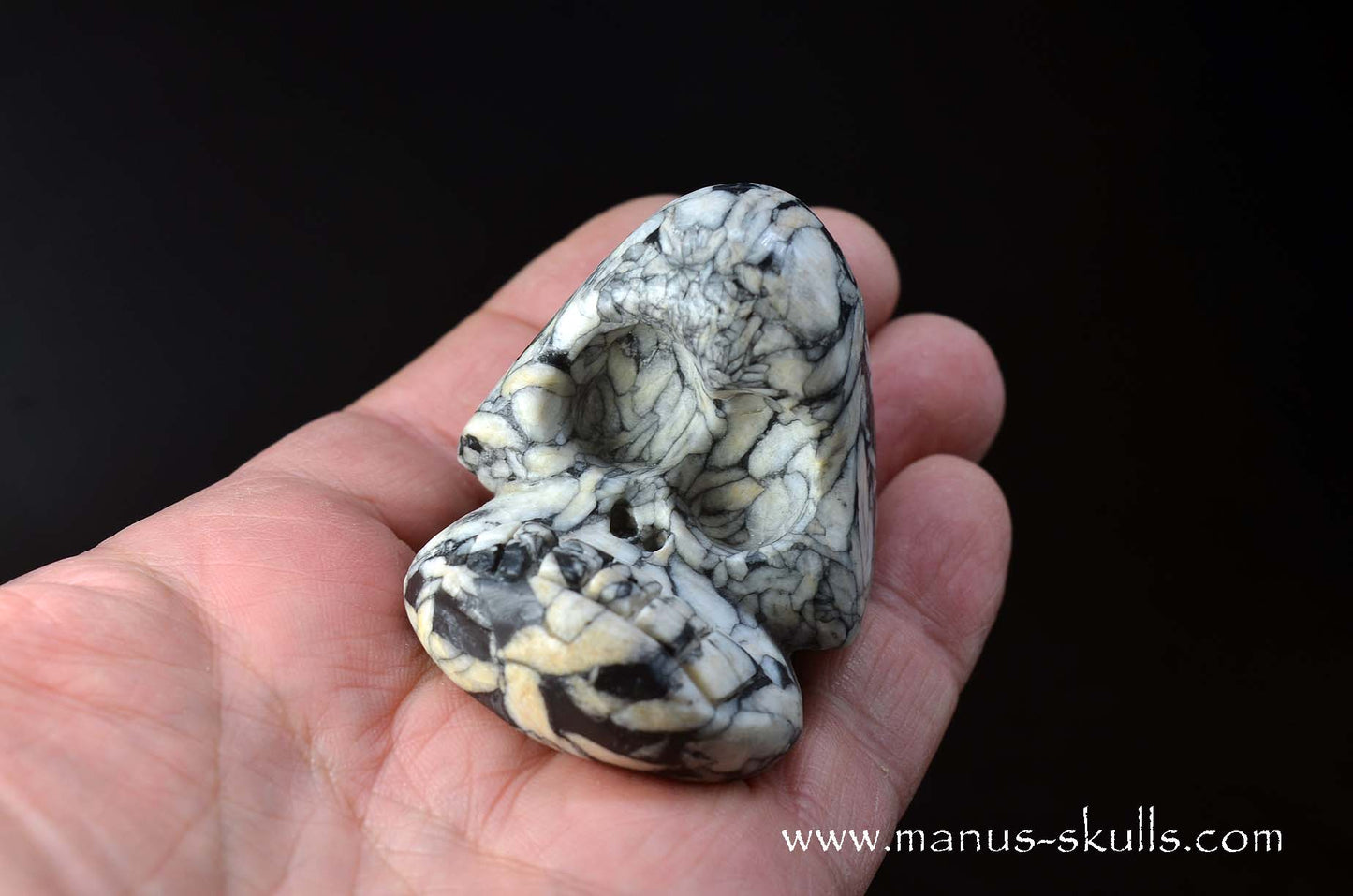 Austrian Pinolith Evolian #11