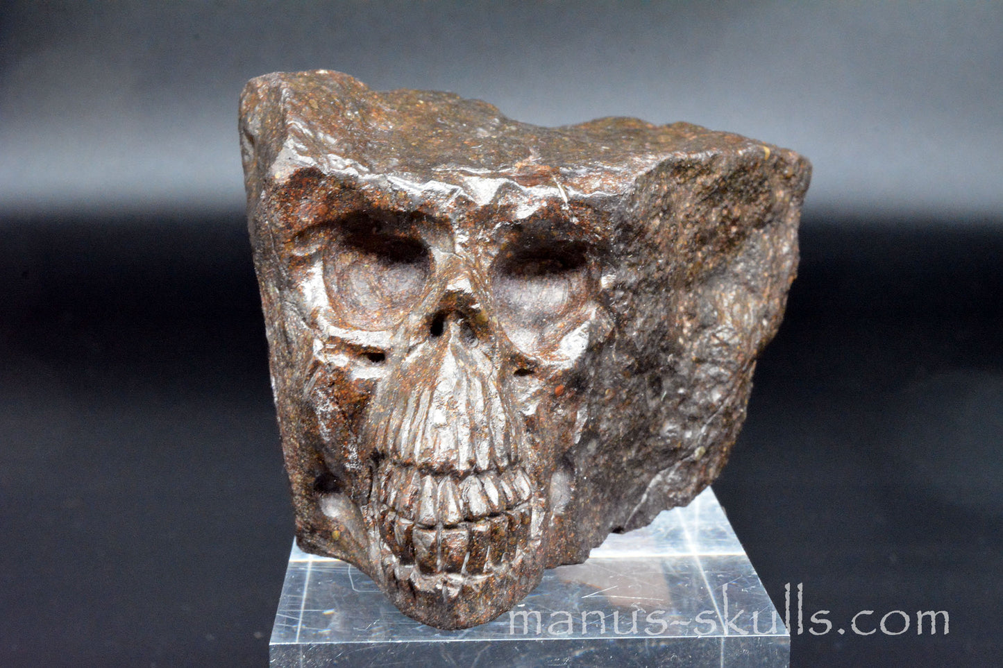 Meteorite Skull