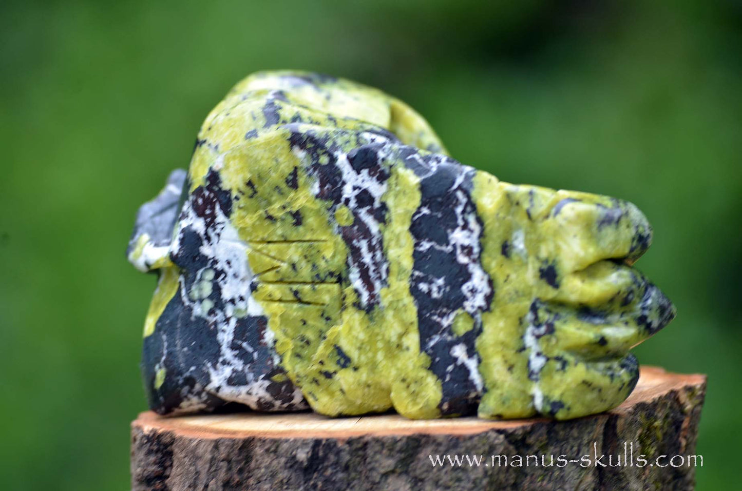 Lizardite Dragon