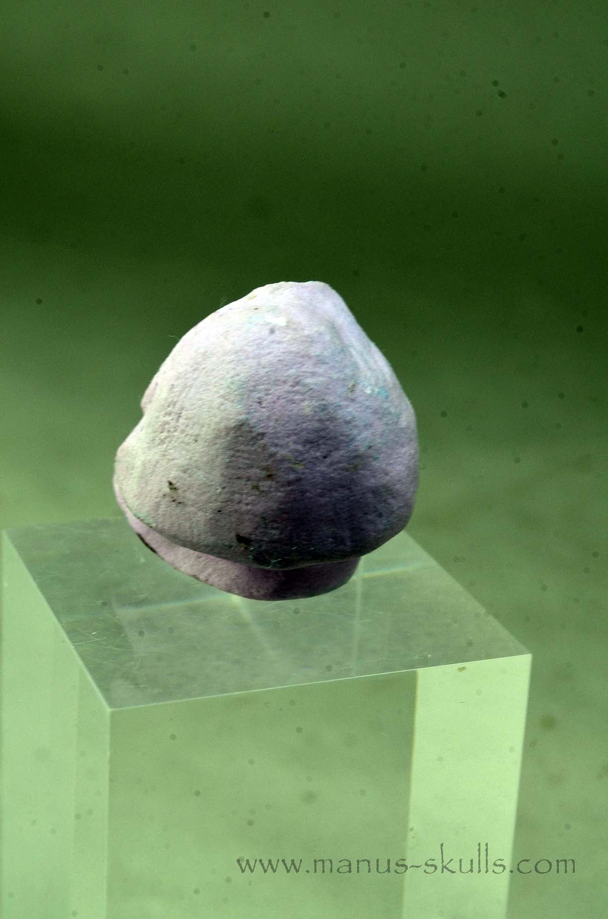 Phosphosiderite Evolian Skull #03