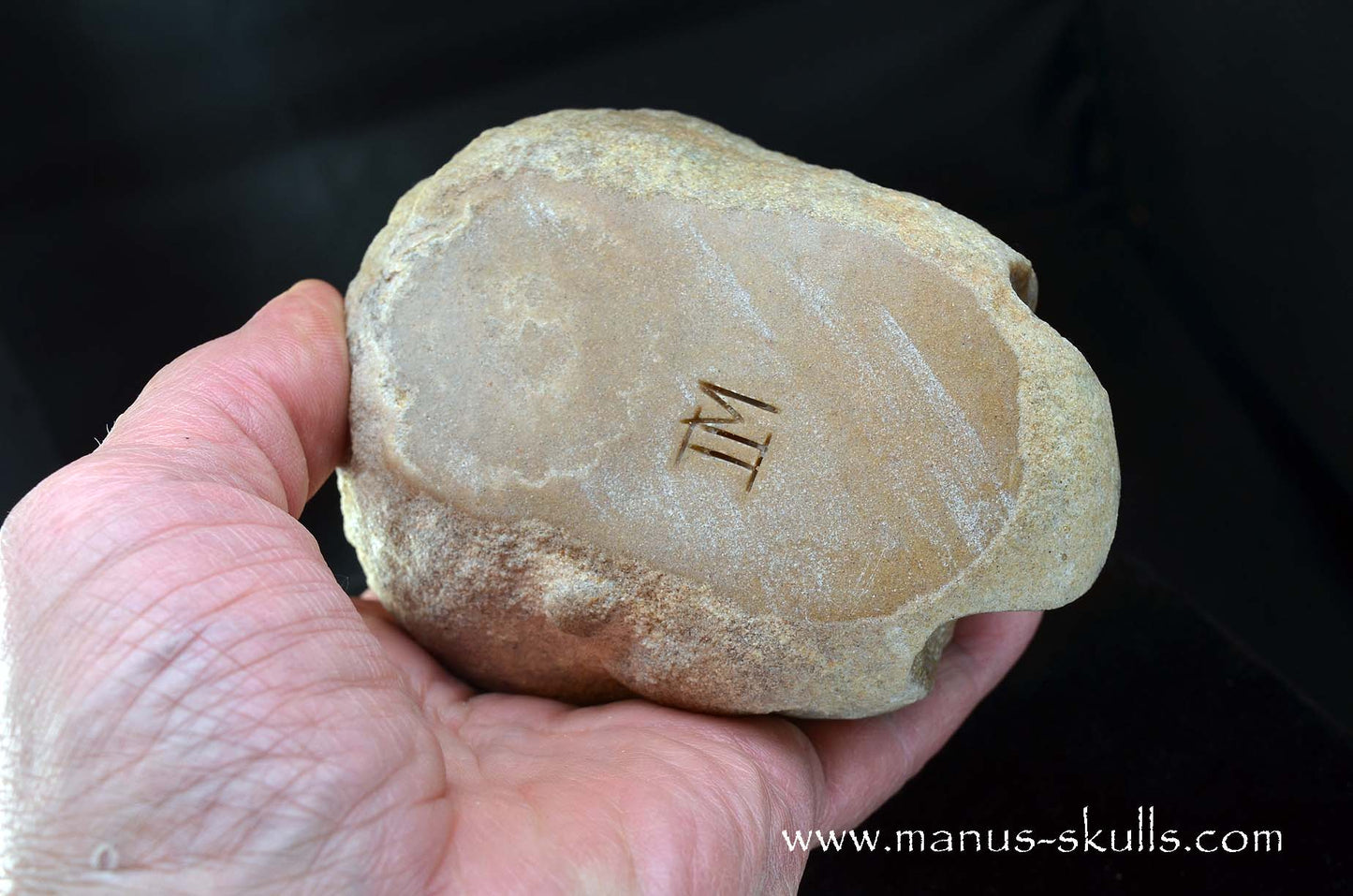 Stromatolite ~ Oncolite Character Skull